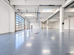Ebenerdige Produktionsfläche mit 420m² | beheizbare Halle mit Nebenräumen | direkte Einfahrt möglich, 5250 €, Immobilien-Gewerbeobjekte in 2100 Korneuburg