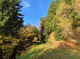 Schönes Waldgrundstück oberhalb des Millstätter Sees, 110659.2 €, Immobilien-Gewerbeobjekte in 9872 Lechnerschaft