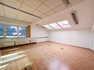 Attraktives Büro mit Archiv und Lagermöglichkeiten in Salzburg nähe Bergheim, 665 €, Immobilien-Gewerbeobjekte in 5020 Salzburg Attraktives Büro mit Archiv und Lagermöglichkeiten in Salzburg nähe Bergheim, 665 €, Immobilien-Gewerbeobjekte in 5020 Salzburg
