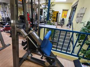 WADENPRESSE SITZEND gym 80 Waden Maschine , SEATED CALF PRESS. Beinpresse