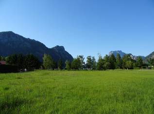 Ebensee: Sonniges Grundstück mit 1.219m² - keine 150m vom See entfernt!, 646070 €, Immobilien-Grund und Boden in 4802 Ebensee am Traunsee