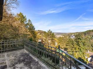 Großzügiges Anwesen mit WEITBLICK, historischer Weinpresse, Erdkellern und vielfältigen Nutzungsperspektiven, 388000 €, Immobilien-Häuser in 2123 Kronberg Großzügiges Anwesen mit WEITBLICK, historischer Weinpresse, Erdkellern und vielfältigen Nutzungsperspektiven, 388000 €, Immobilien-Häuser in 2123 Kronberg