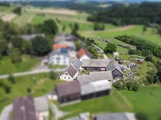 Sanierungsbedürftiger Bauernhof mit Hobby-Autowerkstatt in idyllischer Lage, 127000 €, Immobilien-Häuser in 3613 Attenreith
