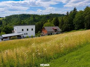 Sonnige Baugrundstücke am Empersdorfberg – Ihr Platz zum Wohnen im Grünen, 55300 €, Immobilien-Grund und Boden in 8076 Empersdorf Berg Sonnige Baugrundstücke am Empersdorfberg – Ihr Platz zum Wohnen im Grünen, 55300 €, Immobilien-Grund und Boden in 8076 Empersdorf Berg