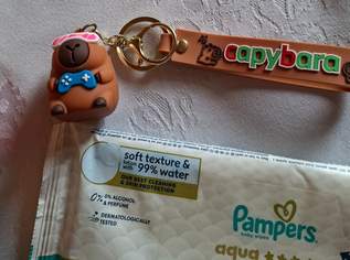 Winnie Pooh Stofftier  + Capybara Anhänger  + Pampers Feuchttücher , 4 €, Kindersachen-Spielzeug in 6020 Innsbruck