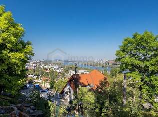 An der schönen blauen Donau ! Ein Erlebnis der besonderen Art !, 890000 €, Immobilien-Häuser in 1190 Döbling