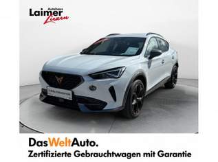 Formentor TRIBE 1.5 TSI 150 PS DSG ACT, 41490 €, Auto & Fahrrad-Autos in 8940 Liezen