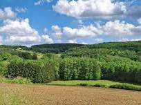 Wald & Wiese & Bauland!, 0 €, Immobilien-Grund und Boden in 7545 Neustift bei Güssing