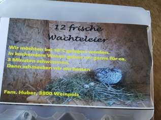 WALDVIERTLER WACHTELEIER, 3 €, Marktplatz-Genuss & Kulinarik in 3900 Schwarzenau