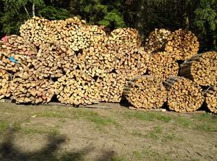 Brennholz Brennholz