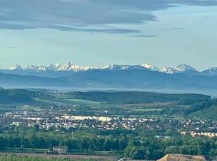 Großes Grundstück in der Bergsiedlung- auch teilbar !!! Herrliche Aussicht, 0 €, Immobilien-Grund und Boden in 4221 Steyregg Großes Grundstück in der Bergsiedlung- auch teilbar !!! Herrliche Aussicht, 0 €, Immobilien-Grund und Boden in 4221 Steyregg