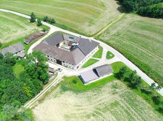 Stattlicher VIERKANTHOF mit 21 ha Grund, 0 €, Immobilien-Gewerbeobjekte in 4612 Scharten