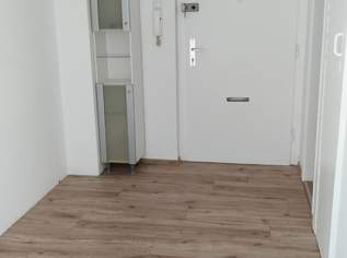 lichtdurchflutete 2 Zimmer-Wohnung , 235000 €, Immobilien-Wohnungen in 4050 Traun