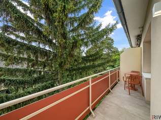 Voll möblierte und hochwertig Sanierte Wohnung mit Terrasse und Grünblick**, 185000 €, Immobilien-Wohnungen in 2500 Gemeinde Baden Voll möblierte und hochwertig Sanierte Wohnung mit Terrasse und Grünblick**, 185000 €, Immobilien-Wohnungen in 2500 Gemeinde Baden