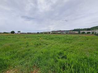 Sonniges Baugrundstück in sehr guter Lage ohne Bauzwang, 950000 €, Immobilien-Grund und Boden in 8054 