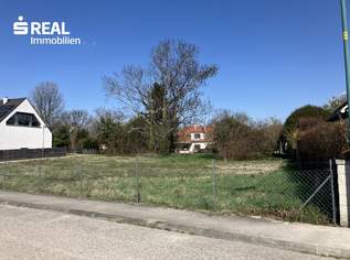 Baugrund in begehrter Lage von Biedermannsdorf 1.0, 513000 €, Immobilien-Grund und Boden in 2362 Gemeinde Biedermannsdorf Baugrund in begehrter Lage von Biedermannsdorf 1.0, 513000 €, Immobilien-Grund und Boden in 2362 Gemeinde Biedermannsdorf