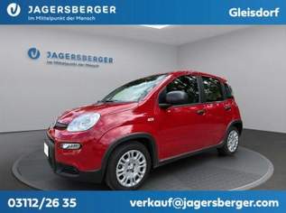 Panda, 13990 €, Auto & Fahrrad-Autos in 8200 Gleisdorf