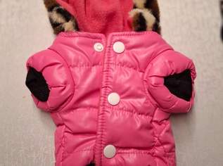 Winterjacke , 8 €, Marktplatz-Tiere & Tierbedarf in 2700 Wiener Neustadt