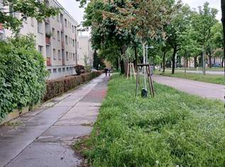 "Koffer packen & einziehen!", 199000 €, Immobilien-Wohnungen in 1120 Meidling