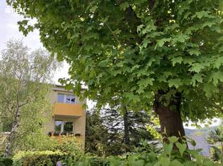 Wo der Tag mit Grün beginnt – 3-Zimmer-Wohnung mit Balkon und Garagebplatz, 320000 €, Immobilien-Wohnungen in 2371 Katastralgemeinde Hinterbrühl Wo der Tag mit Grün beginnt – 3-Zimmer-Wohnung mit Balkon und Garagebplatz, 320000 €, Immobilien-Wohnungen in 2371 Katastralgemeinde Hinterbrühl