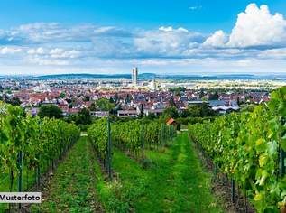 Großzügiges Weingut mit umfangreichen Hallen- und Lagerflächen, 5240000 €, Immobilien-Gewerbeobjekte in 7122 Gols