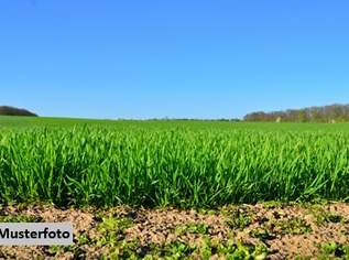 Landwirtschaftsflächen + provisionsfrei +, 107000 €, Immobilien-Grund und Boden in 7142 Illmitz