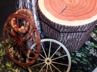 DIE SCHLANGE ""VICTORIA"" HUSCHT AUS DEM WALD !!