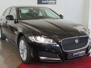 XF 20d Prestige Aut., 14900 €, Auto & Fahrrad-Autos in Steiermark XF 20d Prestige Aut., 14900 €, Auto & Fahrrad-Autos in Steiermark