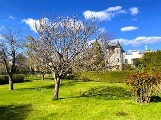 Sofort bezugsfertig! Bungalow mit schönem Garten!, 299000 €, Immobilien-Häuser in 2630 Gemeinde Ternitz Sofort bezugsfertig! Bungalow mit schönem Garten!, 299000 €, Immobilien-Häuser in 2630 Gemeinde Ternitz