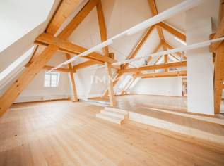Außergewöhnliche Ordinationsfläche in revitalisiertem Schloss nahe Wien, 858000 €, Immobilien-Gewerbeobjekte in 2320 Schwechat