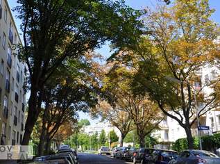 NÄHE HOHE WARTE - HELLE UND RUHIGE WOHNUNG MIT GARTENNUTZUNG, 720 €, Immobilien-Wohnungen in 1190 Döbling NÄHE HOHE WARTE - HELLE UND RUHIGE WOHNUNG MIT GARTENNUTZUNG, 720 €, Immobilien-Wohnungen in 1190 Döbling