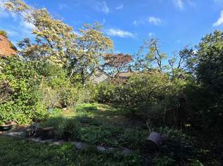 Verstecktes Juwel in Gumpoldskirchen-zentrales Baugrundstück zum TOPPREIS abzugeben!, 250000 €, Immobilien-Grund und Boden in 2352 Gemeinde Gumpoldskirchen Verstecktes Juwel in Gumpoldskirchen-zentrales Baugrundstück zum TOPPREIS abzugeben!, 250000 €, Immobilien-Grund und Boden in 2352 Gemeinde Gumpoldskirchen