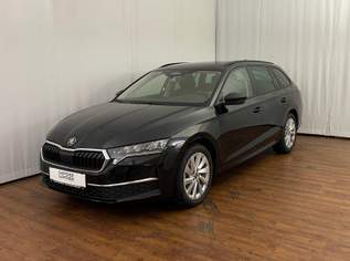 Octavia Selection TDI DSG, 32990 €, Auto & Fahrrad-Autos in 6441 Gemeinde Umhausen