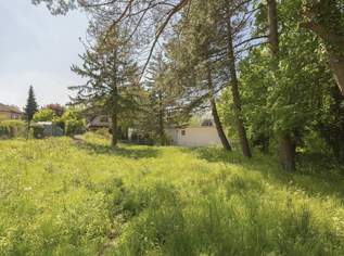 Kreuzwiesengasse - sonniges Baugrundstück (unbebaut) am Schafberg, 998000 €, Immobilien-Grund und Boden in 1170 Hernals Kreuzwiesengasse - sonniges Baugrundstück (unbebaut) am Schafberg, 998000 €, Immobilien-Grund und Boden in 1170 Hernals