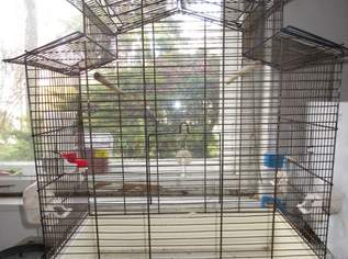 Vogelkäfig, 25 €, Marktplatz-Tiere & Tierbedarf in 1140 Penzing