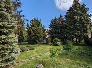 Baugrundstück in Hirm- ruhige Wohnlage mit vielseitigen Potenzial, 145000 €, Immobilien-Grund und Boden in 7024 Hirm Baugrundstück in Hirm- ruhige Wohnlage mit vielseitigen Potenzial, 145000 €, Immobilien-Grund und Boden in 7024 Hirm