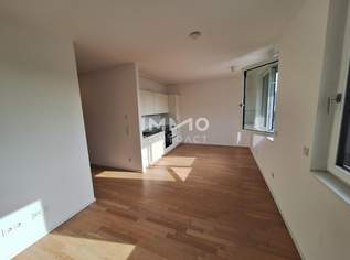++Neuwertige 3 Zimmer City-Wohnung mit Loggia im Zentrum von Linz++, 1299 €, Immobilien-Wohnungen in Oberösterreich