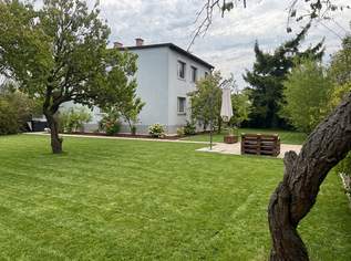 Großzügiges Wohnhaus auf sonnigem Grundstück -ruhige Siedlungslage, 555000 €, Immobilien-Häuser in Niederösterreich Großzügiges Wohnhaus auf sonnigem Grundstück -ruhige Siedlungslage, 555000 €, Immobilien-Häuser in Niederösterreich