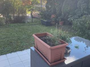 Sehr schöne Gartenwohnung in Baden Nähe Krankenhaus 