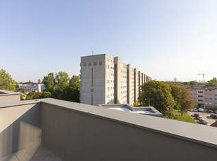 Herbstaktion! Reduzierte Preise jetzt sichern!, 649900 €, Immobilien-Wohnungen in 1220 Donaustadt