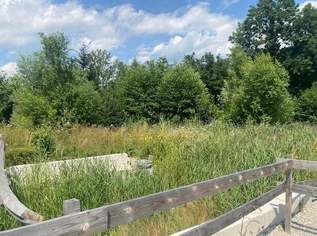 -30% Preisreduktion! Frühjahrsaktion für 2 Monate! Dieses Baugrundstück bietet Perspektive!, 97830 €, Immobilien-Grund und Boden in 4643 Pettenbach