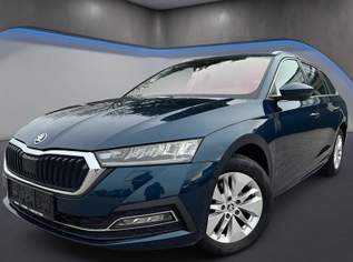 Octavia 2.0 TDI DSG *Virtual*Kamera*Sitzh.*, 17990 €, Auto & Fahrrad-Autos in Niederösterreich