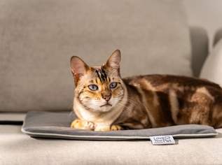 Heizmatte „Lilli“ Heizmatte Lilli S