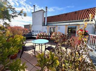 TERRASSENDACHGESCHOSS BEIM ALOIS-DRASCHE-PARK, 880000 €, Immobilien-Wohnungen in 1040 Wieden TERRASSENDACHGESCHOSS BEIM ALOIS-DRASCHE-PARK, 880000 €, Immobilien-Wohnungen in 1040 Wieden