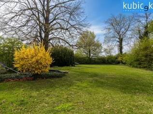 Aufgeschlossenes und ebenes Eckgrundstück in GF-Süd, 230000 €, Immobilien-Grund und Boden in 2230 Gemeinde Gänserndorf Aufgeschlossenes und ebenes Eckgrundstück in GF-Süd, 230000 €, Immobilien-Grund und Boden in 2230 Gemeinde Gänserndorf