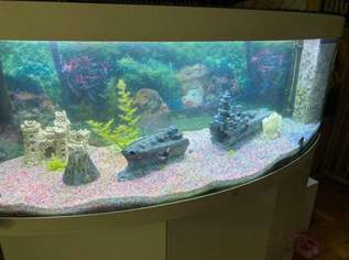 Aquarium Juwel Vision 450