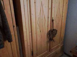 Schränke, 200 €, Haus, Bau, Garten-Möbel & Sanitär in 2482 Gemeinde Münchendorf Schränke, 200 €, Haus, Bau, Garten-Möbel & Sanitär in 2482 Gemeinde Münchendorf