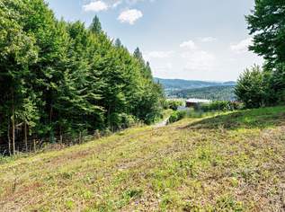 Erhöht gelegenes 911 m² Baugrundstück samt 5.000 m² Eigenwald in Stattegg, 289000 €, Immobilien-Grund und Boden in 8046 Erhöht gelegenes 911 m² Baugrundstück samt 5.000 m² Eigenwald in Stattegg, 289000 €, Immobilien-Grund und Boden in 8046