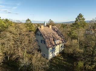 Rarität! Histroische Jahrhundertwende-Villa mit Privatpark und Wald | Blick in alle Himmelsrichtungen | Lichtdurchflutet, 1890000 €, Immobilien-Häuser in 2721 Bad Fischau Rarität! Histroische Jahrhundertwende-Villa mit Privatpark und Wald | Blick in alle Himmelsrichtungen | Lichtdurchflutet, 1890000 €, Immobilien-Häuser in 2721 Bad Fischau