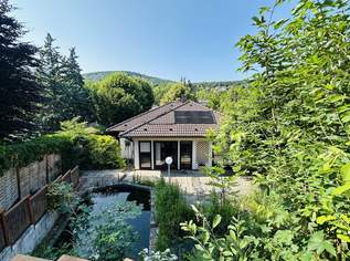 Unterkellertes Einfamilienhaus mit Schwimmteich in ruhiger Villenlage, 749000 €, Immobilien-Häuser in 2371 Katastralgemeinde Hinterbrühl Unterkellertes Einfamilienhaus mit Schwimmteich in ruhiger Villenlage, 749000 €, Immobilien-Häuser in 2371 Katastralgemeinde Hinterbrühl